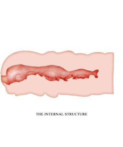 masturbator - Crazy Bull Isabel